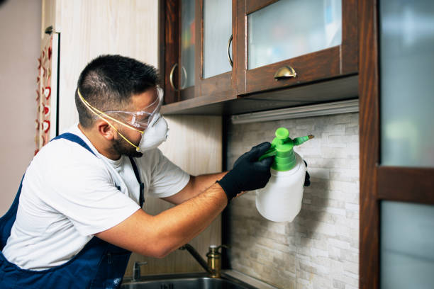 Best Affordable Pest Control Services  in National Harbor, MD