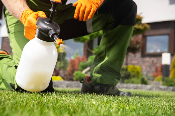 Best Pest Prevention Services  in National Harbor, MD