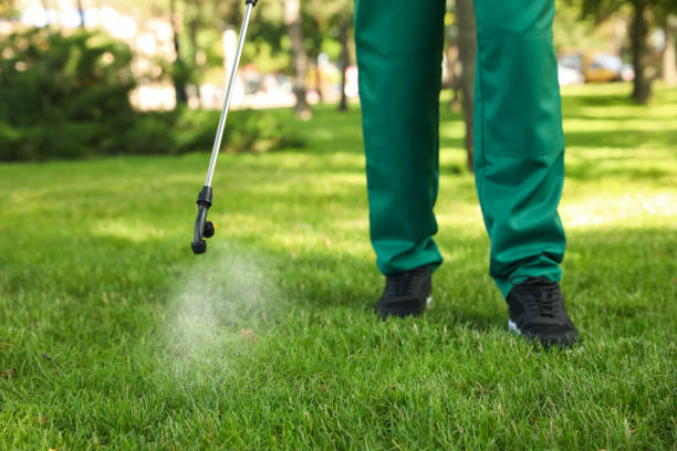 Best Affordable Pest Control Services  in National Harbor, MD