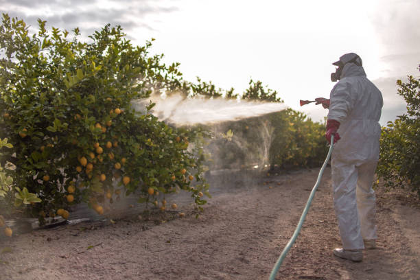 Best Pest Removal Services  in National Harbor, MD