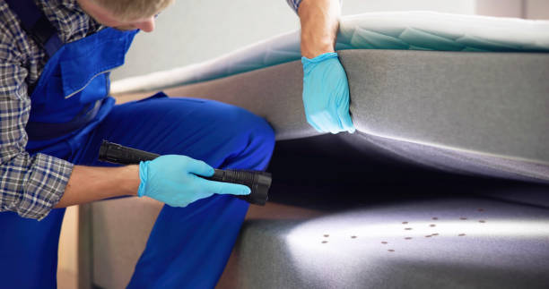 Best Pest Inspection Near Me  in National Harbor, MD