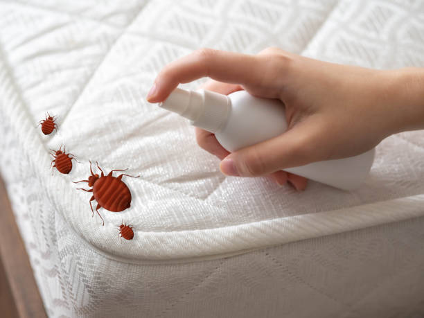 Professional Pest Control in National Harbor, MD