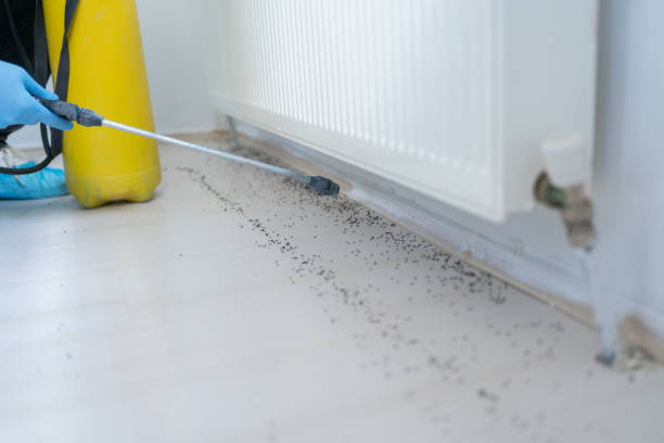 Best Cockroach Control Services  in National Harbor, MD